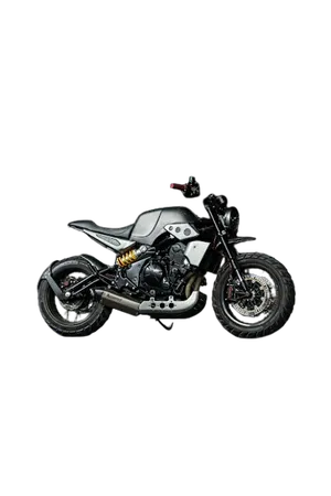 Kawasaki ER650 Scrambler Alumunium
