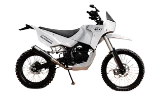 Kawasaki Custom
