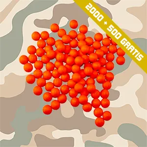 2500 Paintballs