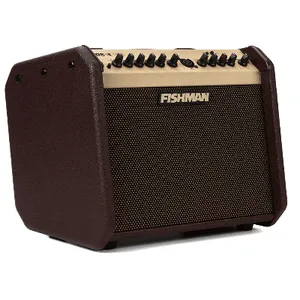 Fishman Loudbox Mini BT 60-Watt 1x6.5 Inches Acoustic Combo