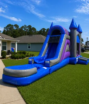 Bounce N Dip Castle