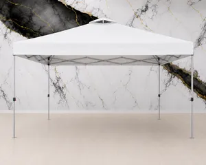 12x12 Canopy Tent - $60