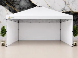 12x12 Canopy Tent + Side Walls - $90