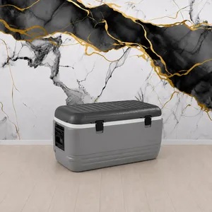 Large Capacity Cooler - $15