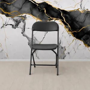 Black Folding Chair - $3