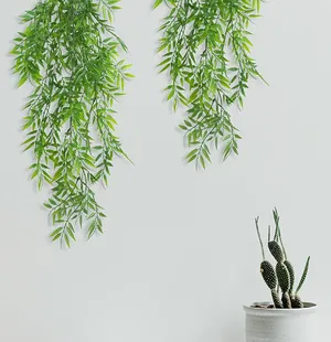Bamboo Vine