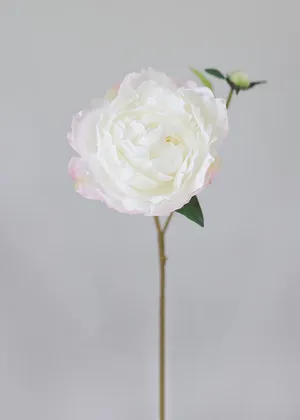 White/Blush flower stems