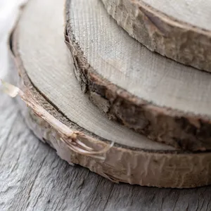 Birch Wood Coins