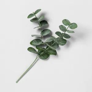 Eucalyptus Stems