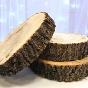 Pine Wood Coins