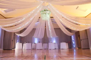 75Ft Blush Drapery