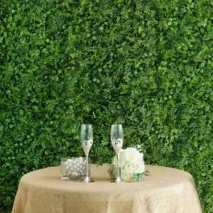 Green Boxwood Hedge Locust and Cypress Garden Wall Backdrop