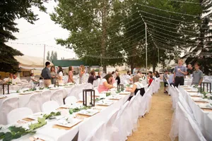 60Ft x 40Ft Lighting Canopy Kit -Poles Separate For  Outdoor Use