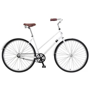 Solé Single Speed City Bike Rental