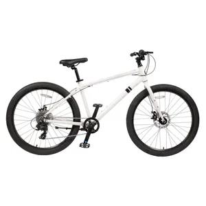 Solé Multi-Speed All Terrain Bike Rental