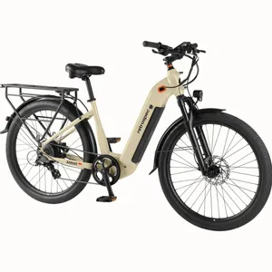 Retrospec Abbot Electric Bike Rental