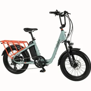 Retrospec Roo Rev Cargo Electric Bike Rental
