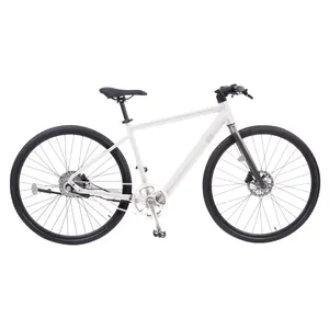 Solé E-Commuter Electric Bike Rental