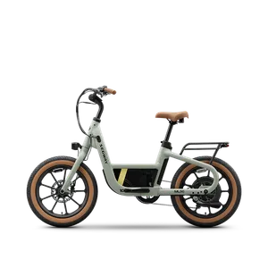 Segway Muxi Electric Bike Rental