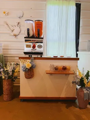 Slushy/Margarita Machine