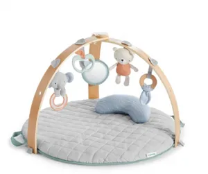 Ingenuity Activity Gym