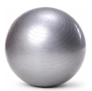 Large Exercise Ball