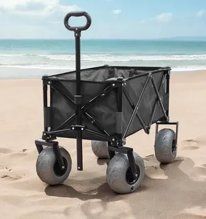 Beach Wagon 