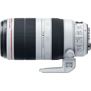 Canon EF 100-400mm f/ 4.5-5.6L
