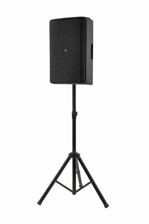 Lautsprecher D115SP
