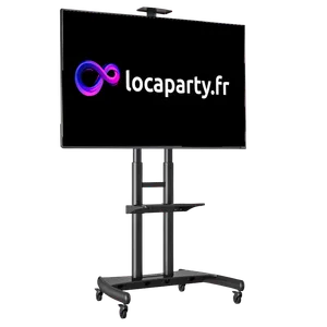 Ecran 4K 55