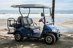 Nosara 4 Seat Electric Golf Cart