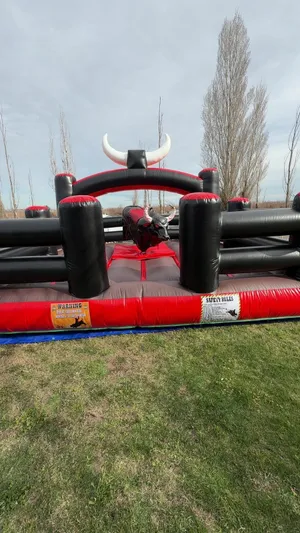 Mechanical Bull