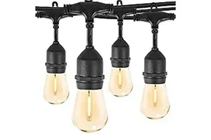 100m Festoon Lights