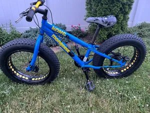 Mongoose Kong Fat Tire Youth