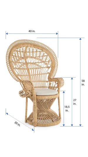 Peacock Chair