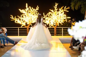 LED Cherry Trees