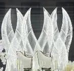 Deluxe LED Backdrop