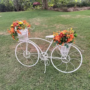 White Vintage Bicycle
