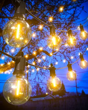 Globe String Light