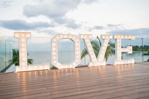 LED - LOVE- Sign