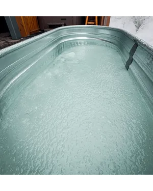 Cold Plunge