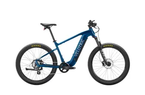 Velotric Summit 1