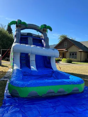  Water Slide Tropical Wave 
