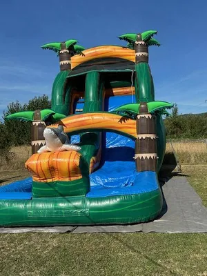 Water Slide Dolphin