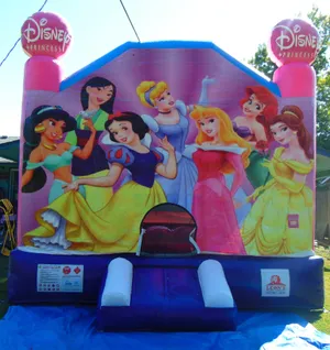 Disney princesses 