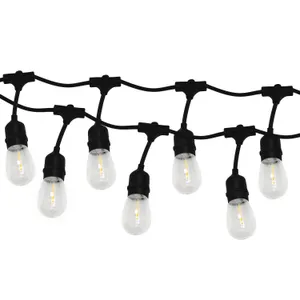 Festoon Lights