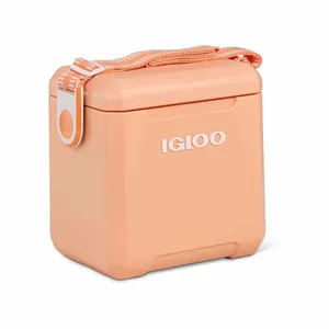 Cooler Small with ice
