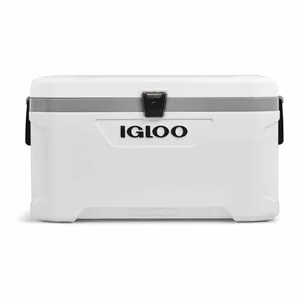 Cooler - Large with ice