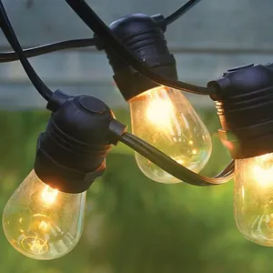 50Ft Market Lights Strands
