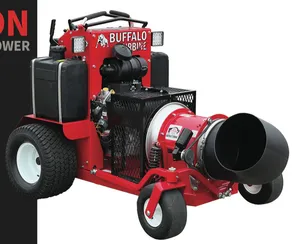 Souffleur debout Buffalo Turbine